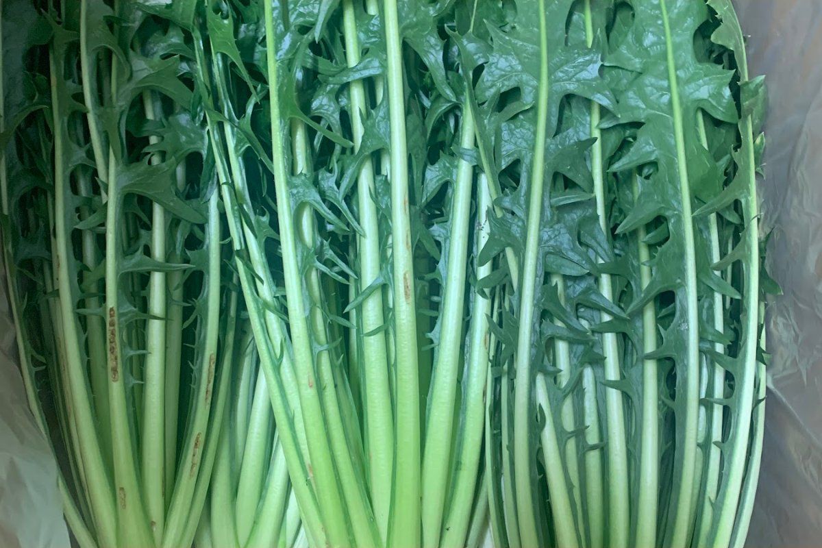季節野菜